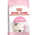 Royal Canin Kitten croquettes pour chatons