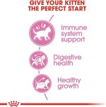 Royal Canin Kitten croquettes pour chatons