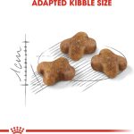 Royal Canin Kitten croquettes pour chatons