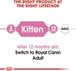 Royal Canin Kitten croquettes pour chatons