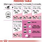 Royal Canin Kitten croquettes pour chatons