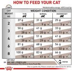 Royal Canin Veterinary Gastrointestinal pour chats