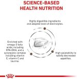 Royal Canin Veterinary Gastrointestinal pour chats