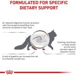 Royal Canin Veterinary Gastrointestinal pour chats