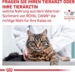 Royal Canin Veterinary Gastrointestinal pour chats