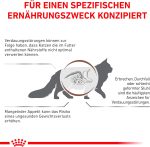 Royal Canin Veterinary Gastrointestinal pour chats