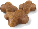Royal Canin Kitten croquettes pour chatons