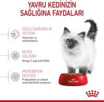 Royal Canin Kitten croquettes pour chatons