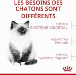 Royal Canin Kitten croquettes pour chatons