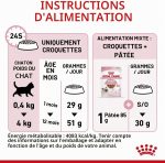Royal Canin Kitten croquettes pour chatons