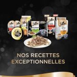 Sheba nourriture pour chats adultes