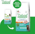 Natural Trainer Ideal Weight croquettes chien