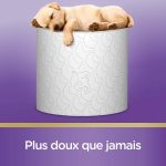 Scottex papier toilette