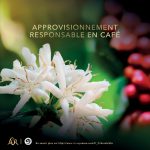 L'OR Absolu caf&eacute; en grains intensit&eacute; 10