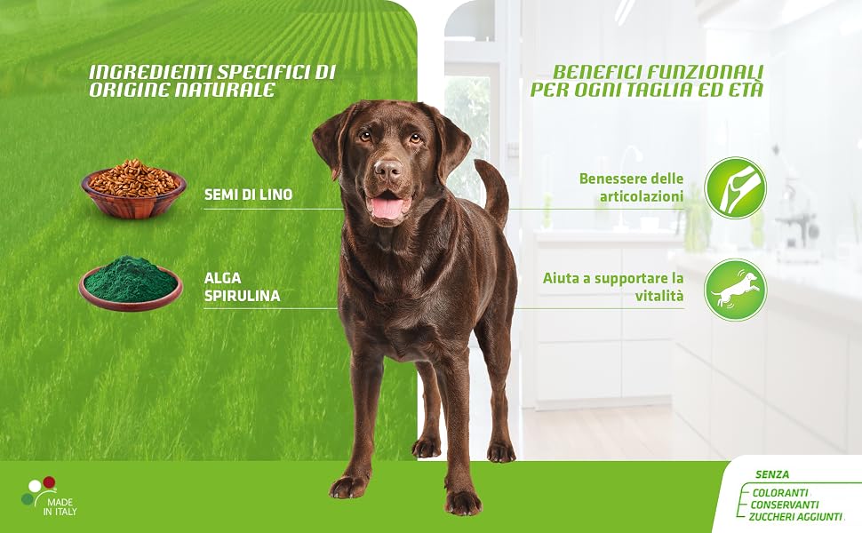 Natural Trainer Ideal Weight avantages