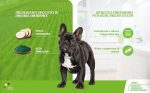 Natural Trainer Ideal Weight croquettes chien